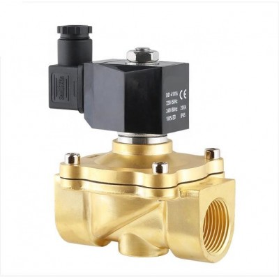 ZS Series 2/2 Way Normal Closed Diaphragm China Solenoid Valve